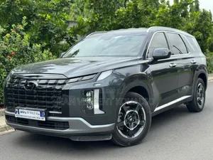 Hyundai Palissade 2023 Bourgogne