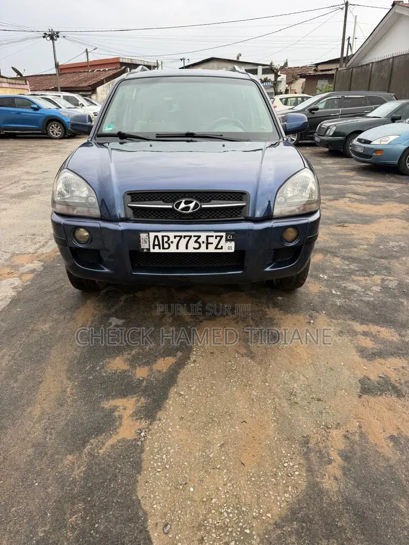 Hyundai Tucson 2006 Bleu
