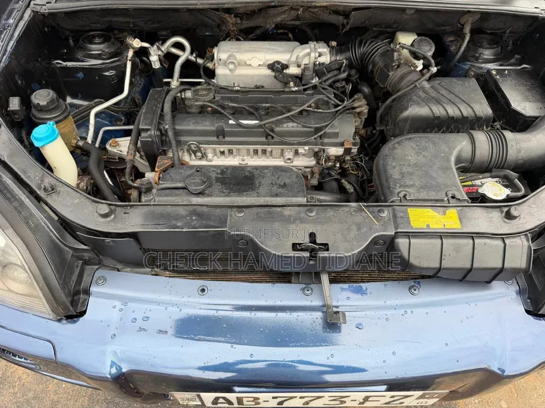 Hyundai Tucson 2006 Bleu