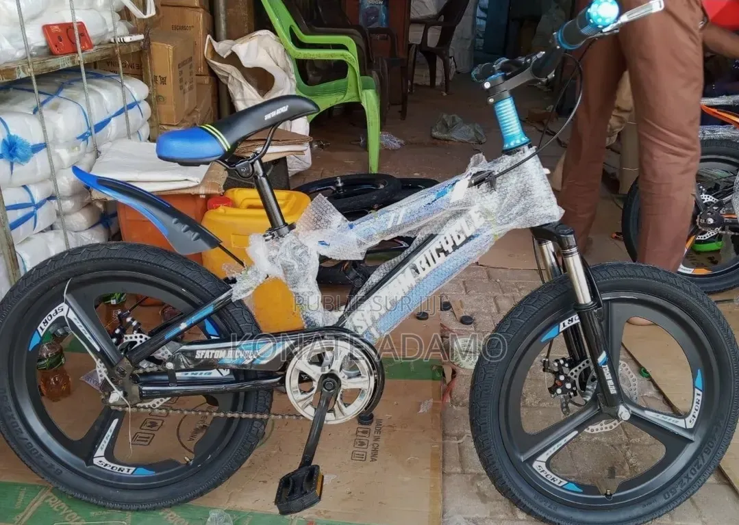 Vélo Électrique