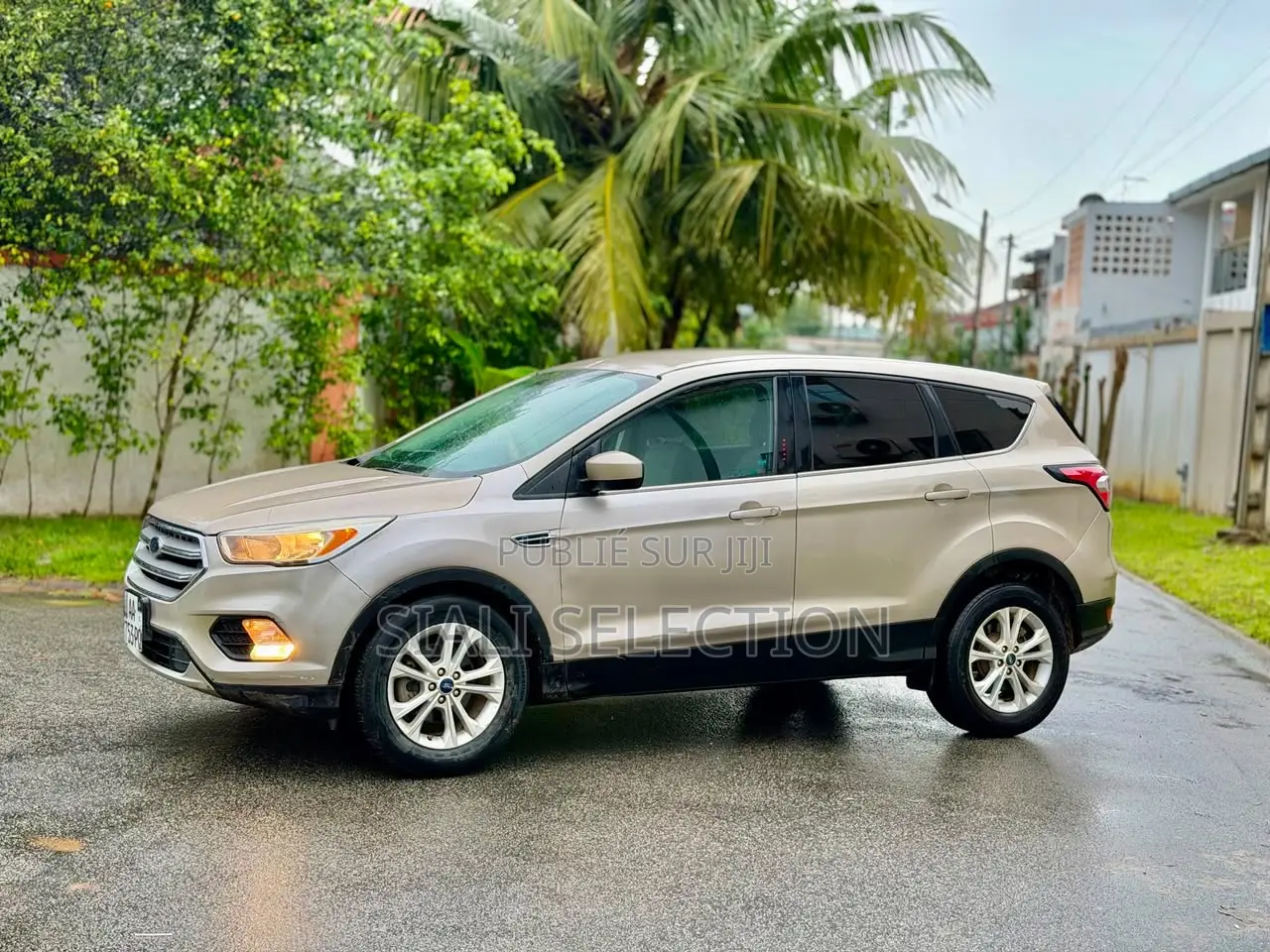 Ford Escape Titanium 4x4 2018 Doré