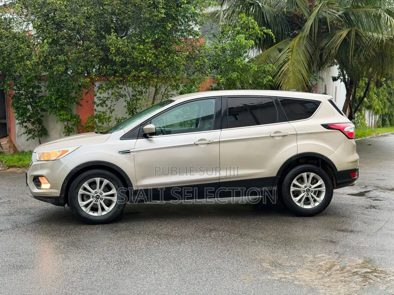 Ford Escape Titanium 4x4 2018 Doré