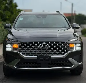 Hyundai Palissade 2023 Noir Mat
