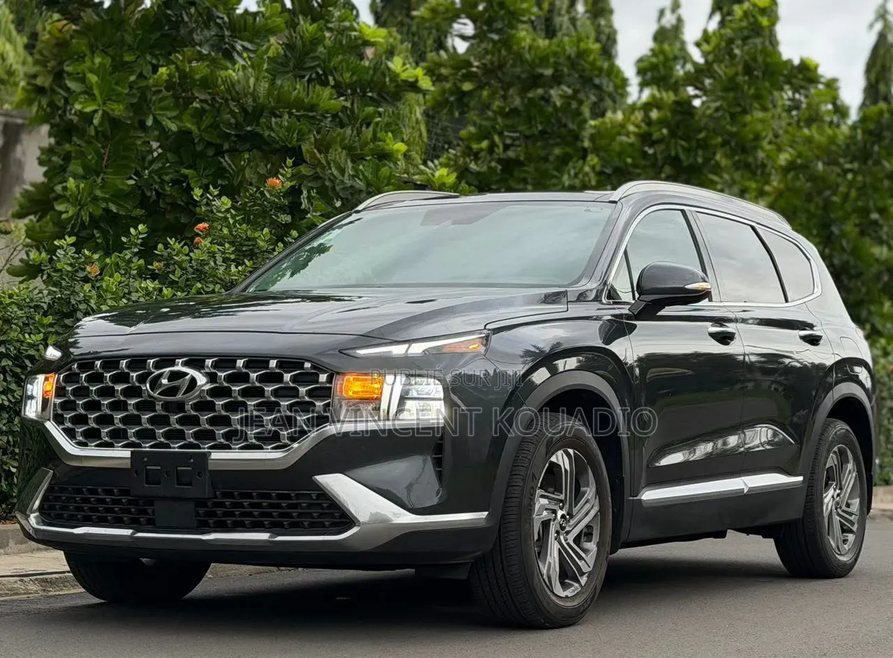 Hyundai Palissade 2023 Noir Mat