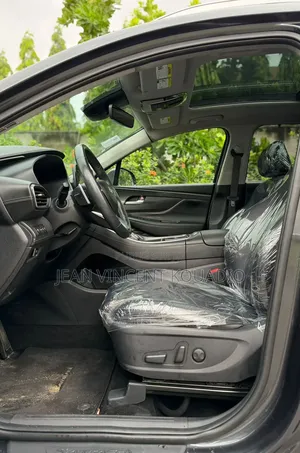 Hyundai Palissade 2023 Noir Mat