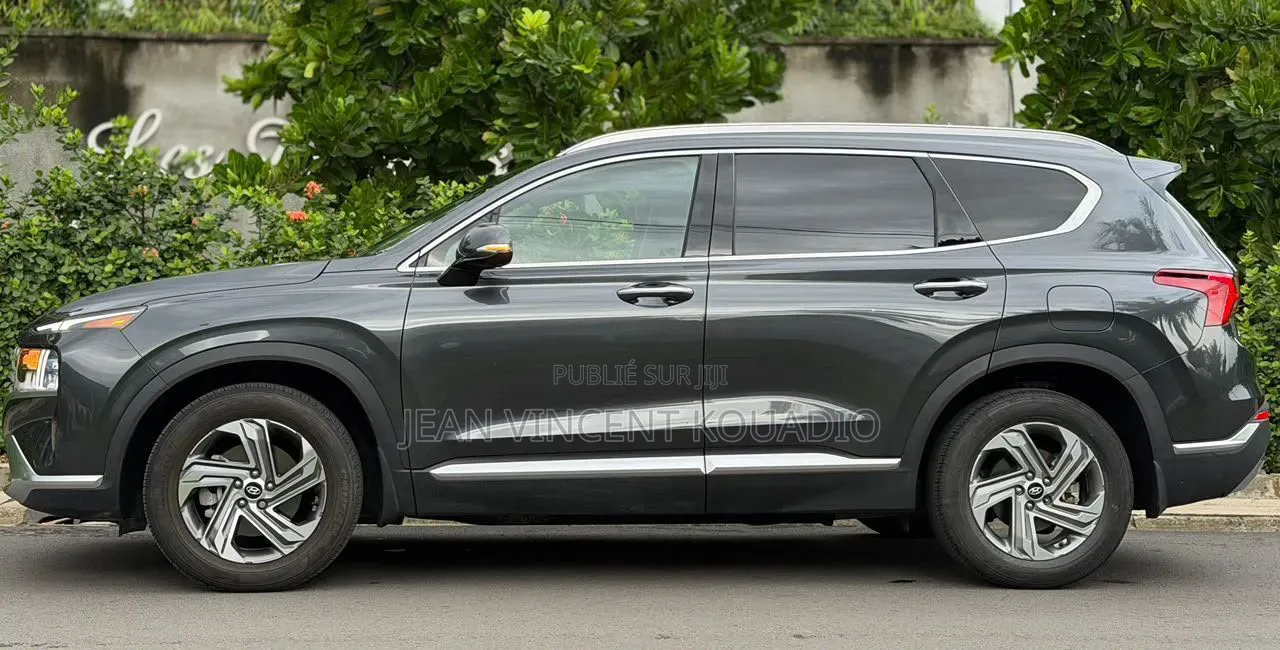 Hyundai Palissade 2023 Noir Mat