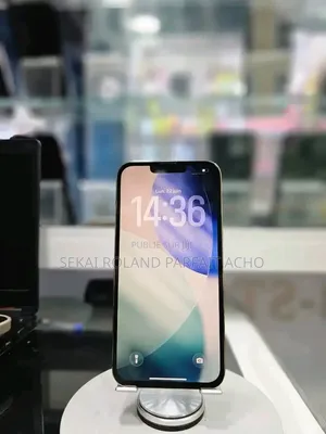 Nouveau Apple iPhone 13 Pro Max 256 GB Gris