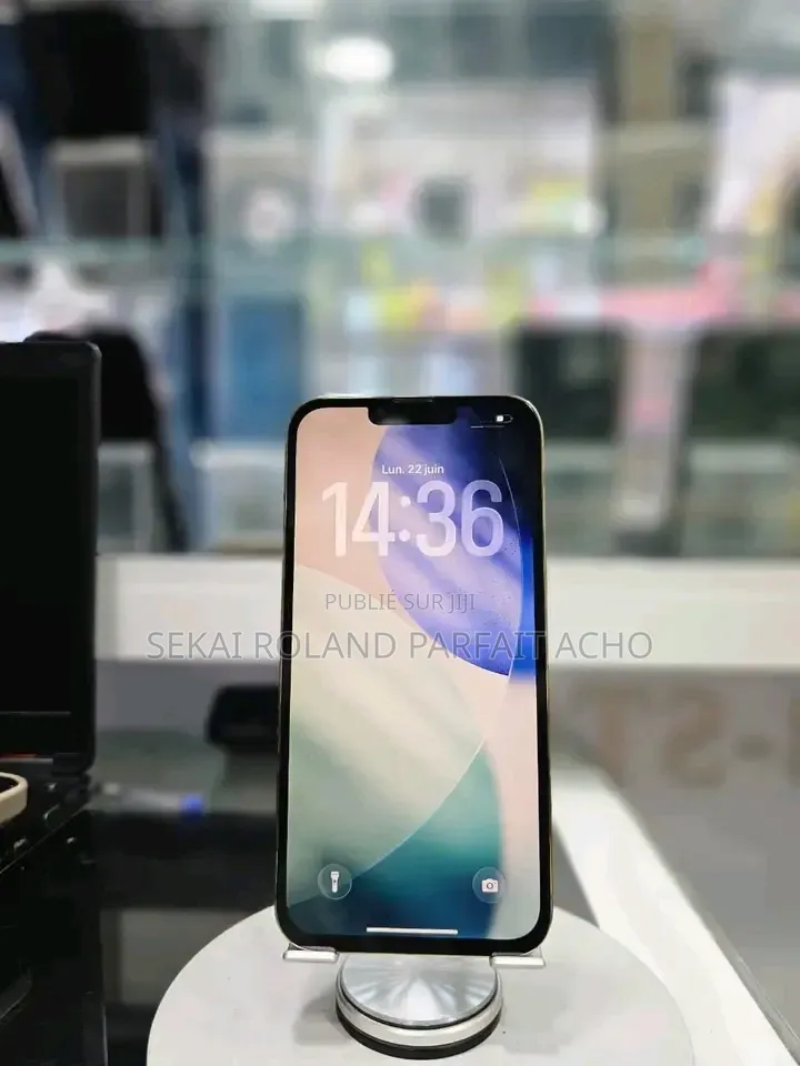 Nouveau Apple iPhone 13 Pro Max 256 GB Gris