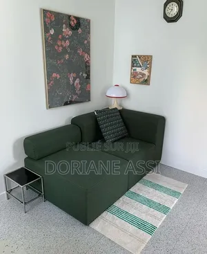 Fauteuil Salon