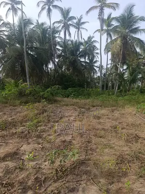 Vente De Terrain a Jaqueville