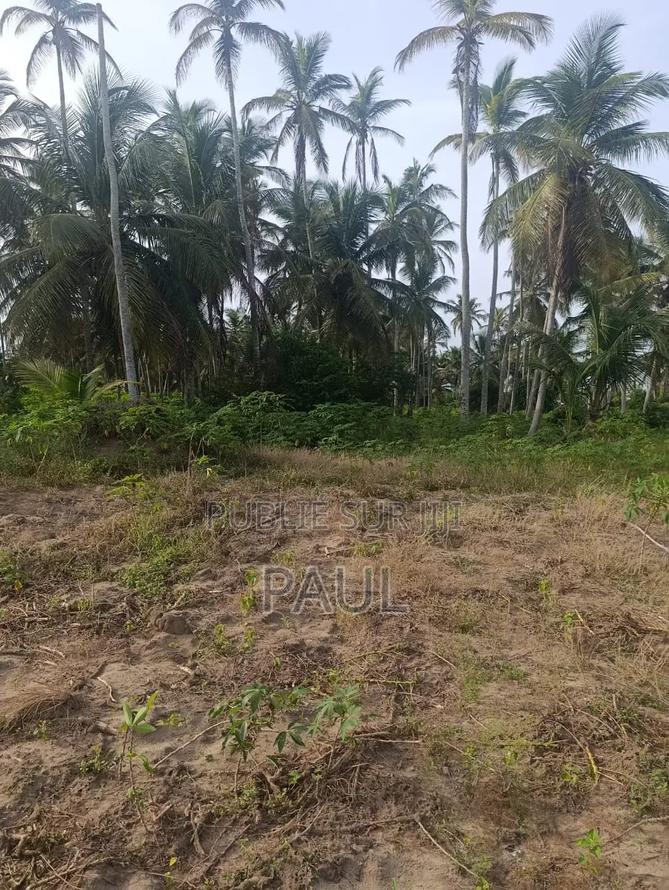 Vente De Terrain a Jaqueville