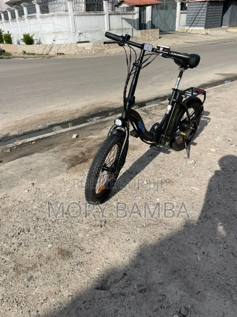 Vélo Électrique