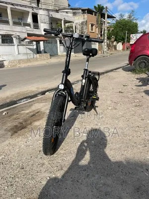 Vélo Électrique