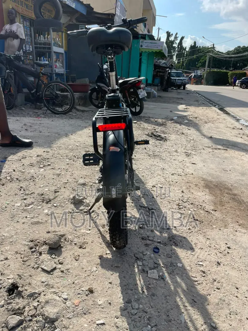 Vélo Électrique