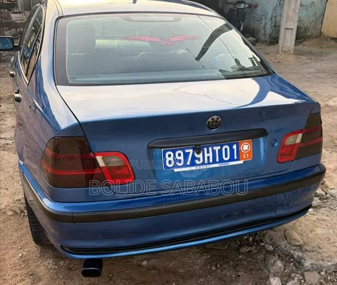 BMW 3 Series 2005 Bleu