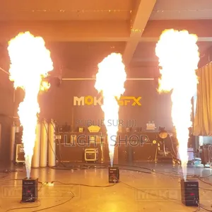 Lanceur De Flamme Spectacle