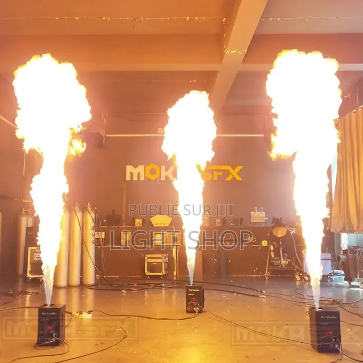Lanceur De Flamme Spectacle