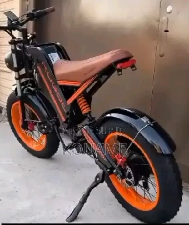 Vélo Électrique
