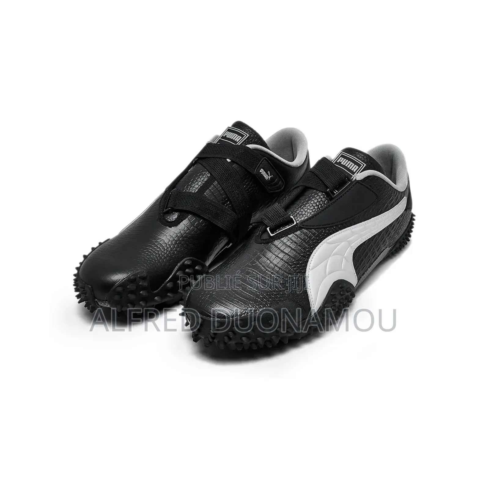 Puma Monstro