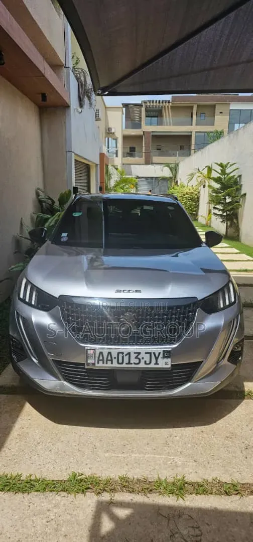 Peugeot 2008 2019 Gris