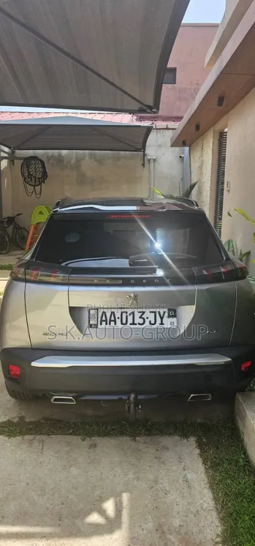 Peugeot 2008 2019 Gris