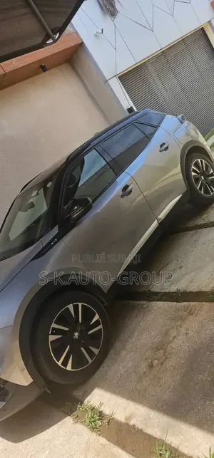 Peugeot 2008 2019 Gris