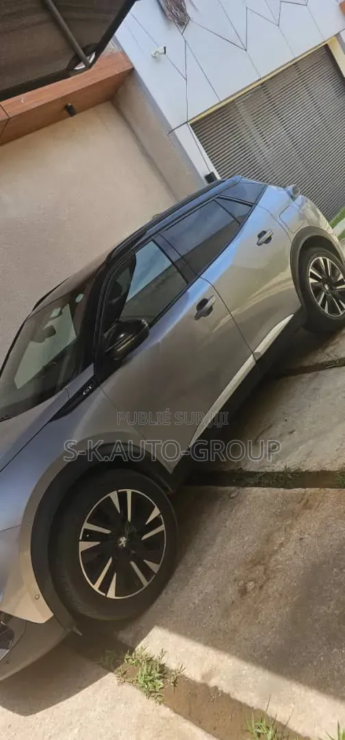 Peugeot 2008 2019 Gris