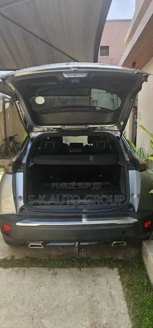 Peugeot 2008 2019 Gris