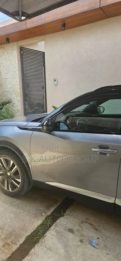 Peugeot 2008 2019 Gris