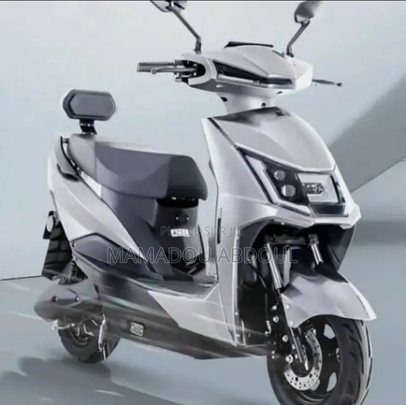 Scooter Électrique