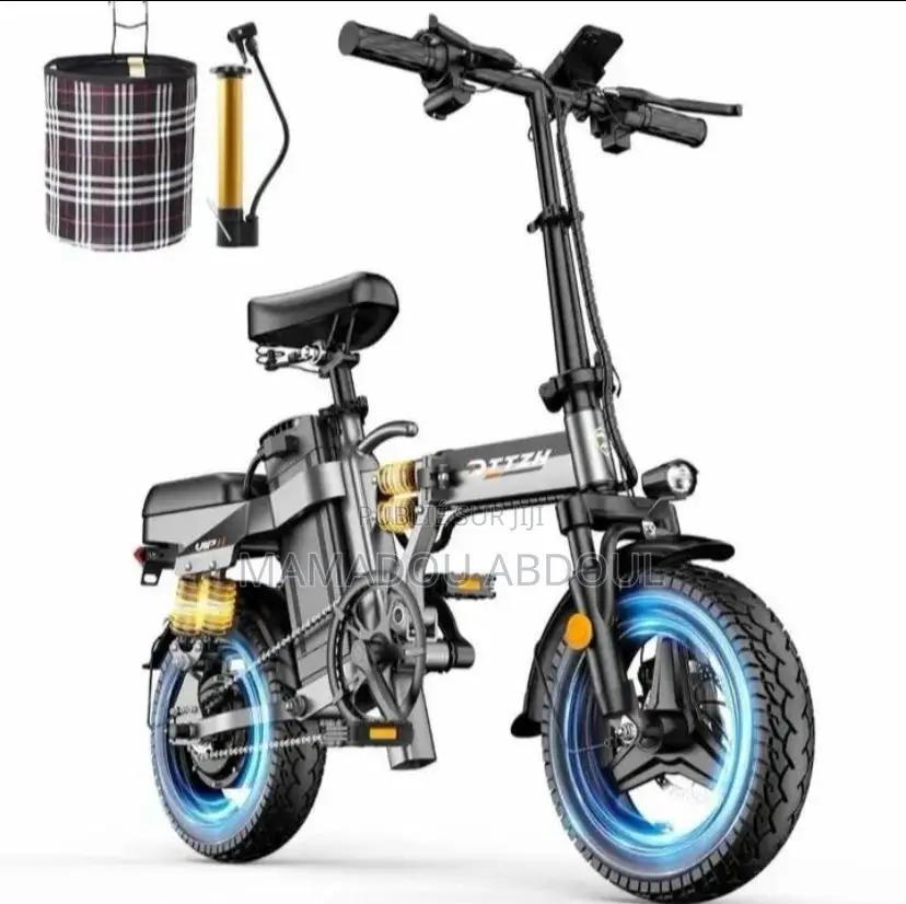 Scooter Électrique