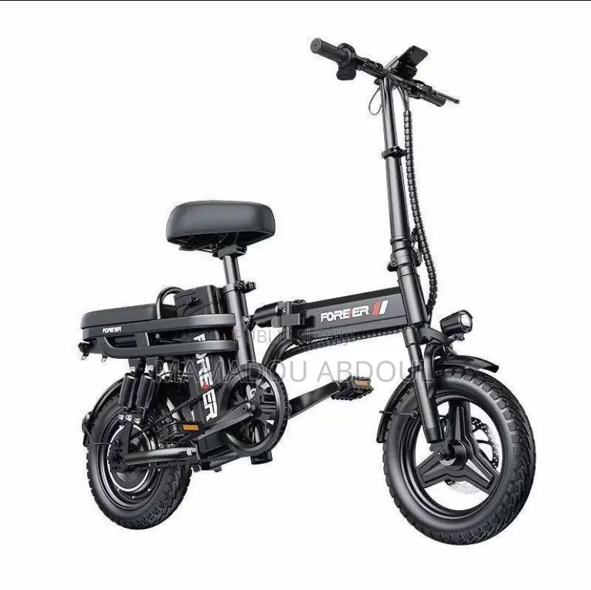 Scooter Électrique
