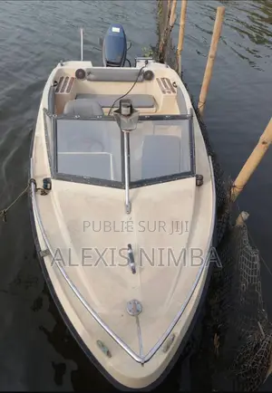 Petit Bateau Plaisance Moteur 60 Chevaux Yamaha 2 Temps