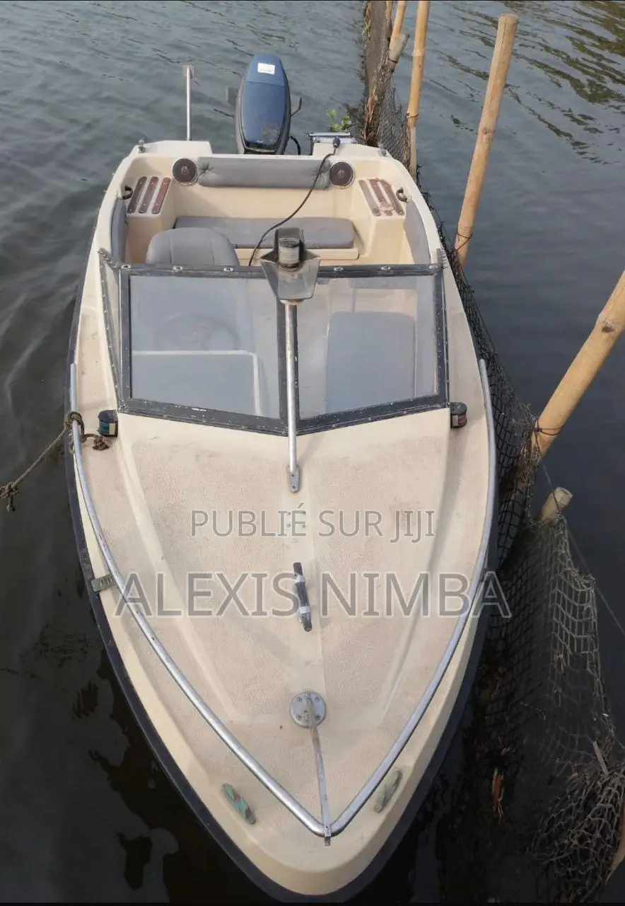 Petit Bateau Plaisance Moteur 60 Chevaux Yamaha 2 Temps