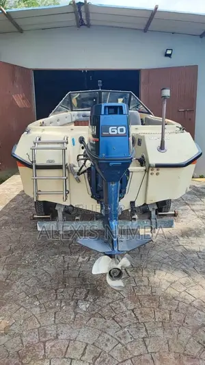 Petit Bateau Plaisance Moteur 60 Chevaux Yamaha 2 Temps