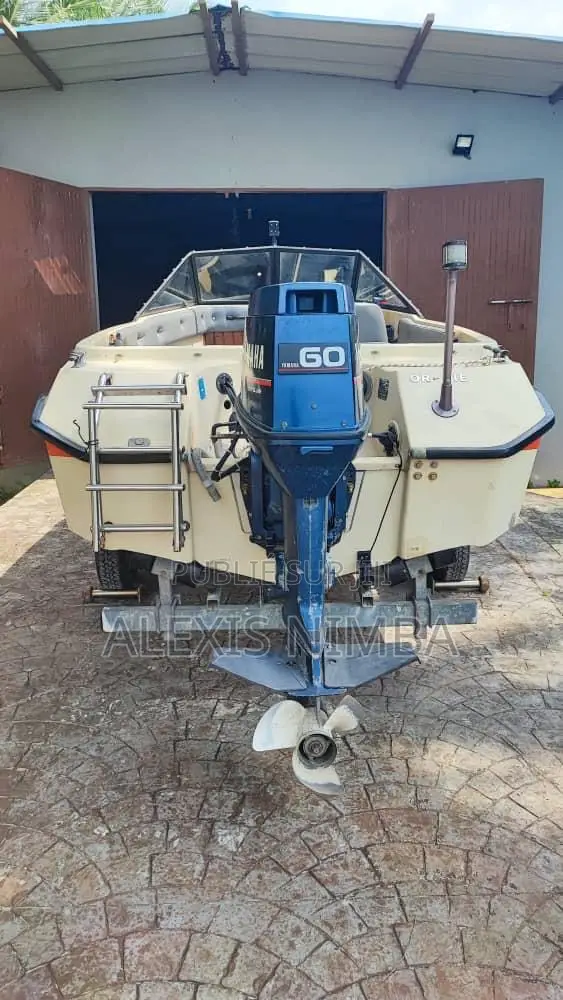 Petit Bateau Plaisance Moteur 60 Chevaux Yamaha 2 Temps