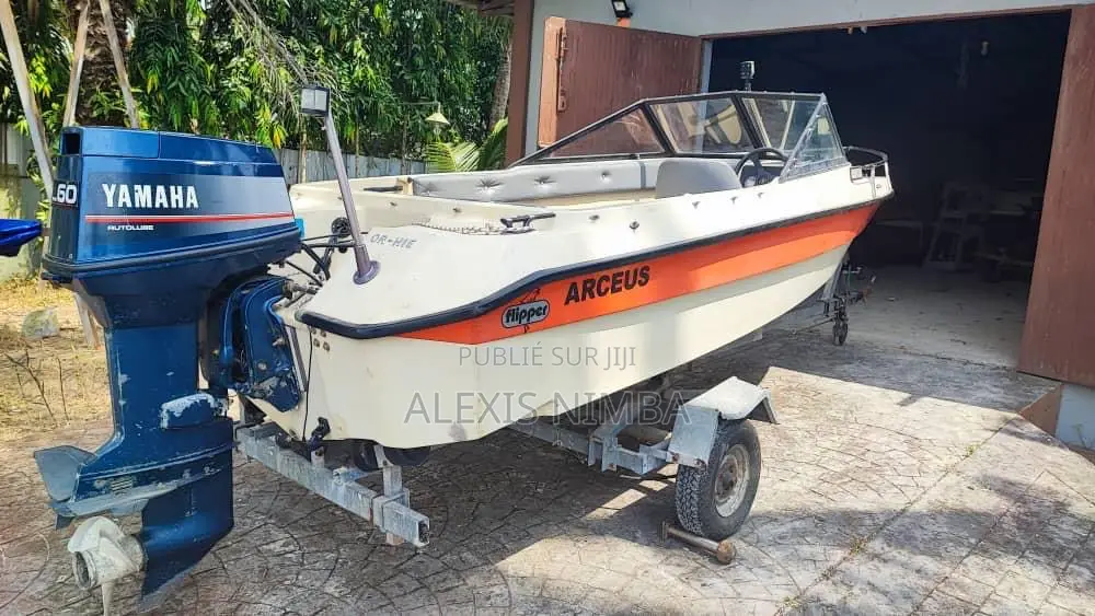Petit Bateau Plaisance Moteur 60 Chevaux Yamaha 2 Temps