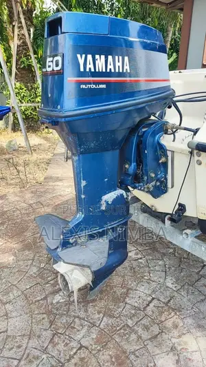 Petit Bateau Plaisance Moteur 60 Chevaux Yamaha 2 Temps