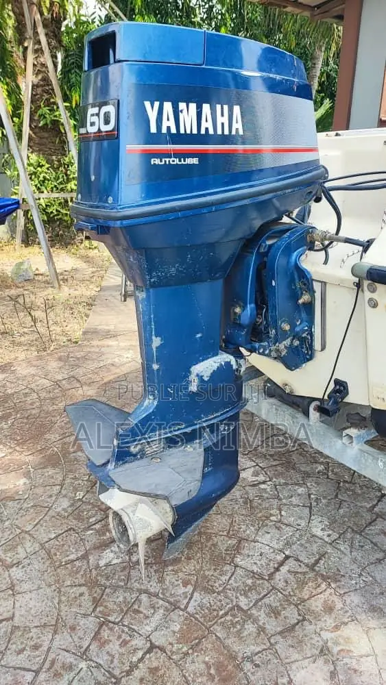 Petit Bateau Plaisance Moteur 60 Chevaux Yamaha 2 Temps