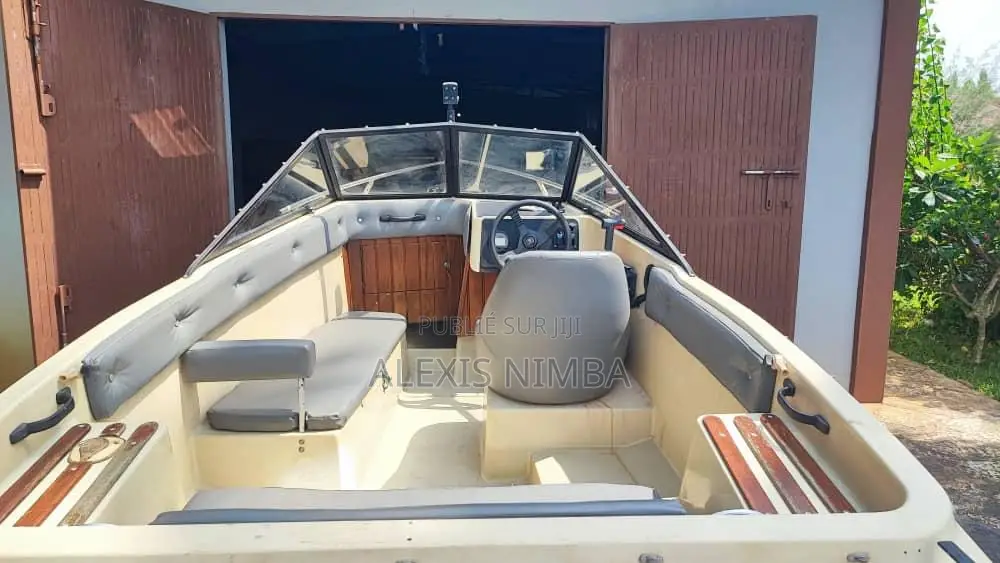 Petit Bateau Plaisance Moteur 60 Chevaux Yamaha 2 Temps