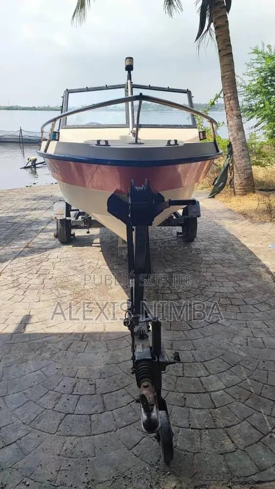 Petit Bateau Plaisance Moteur 60 Chevaux Yamaha 2 Temps