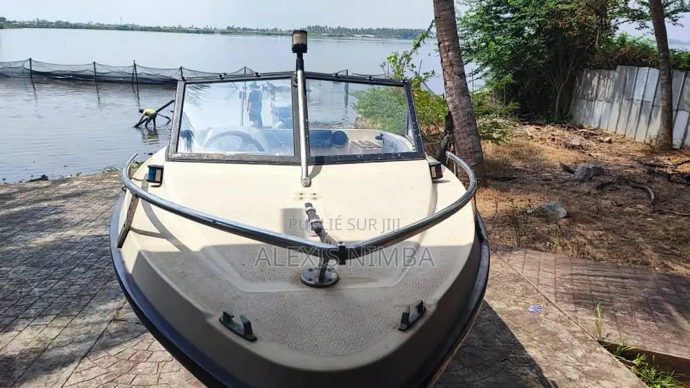 Petit Bateau Plaisance Moteur 60 Chevaux Yamaha 2 Temps