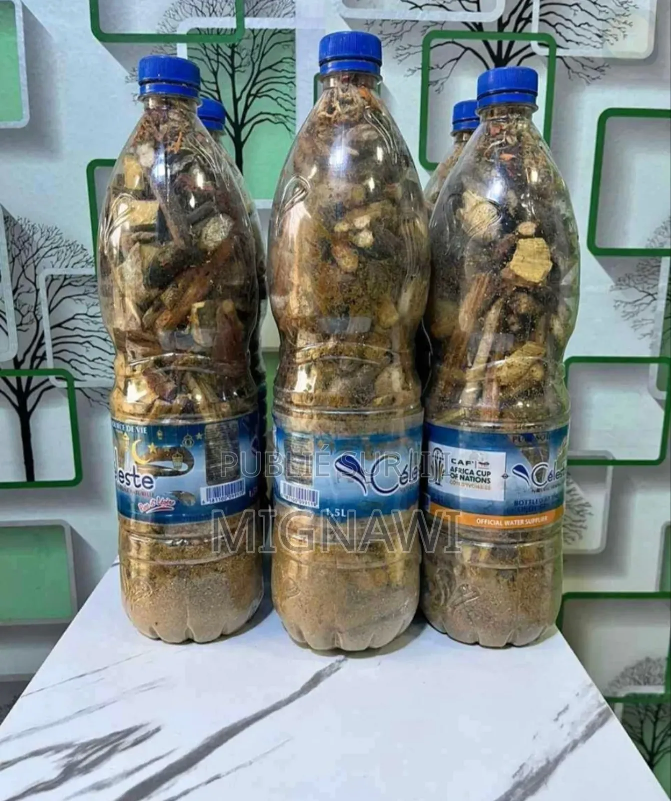 Racines Pour Les Hommes