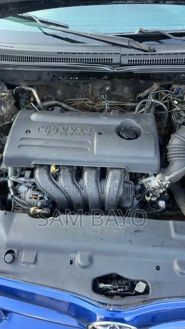 Toyota Corolla 2002 Bleu