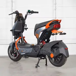 Moto Elliptique