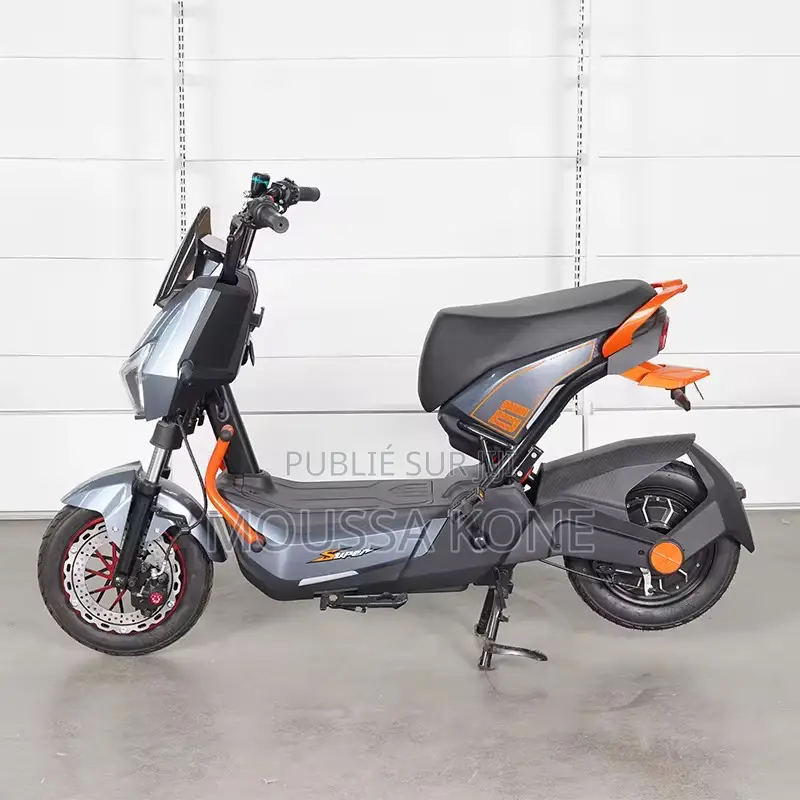 Moto Elliptique