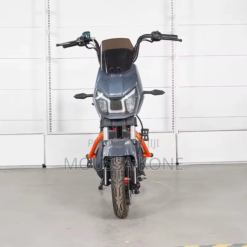 Moto Elliptique