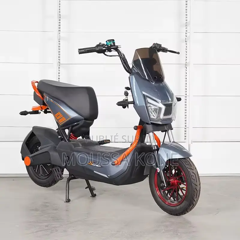 Moto Elliptique