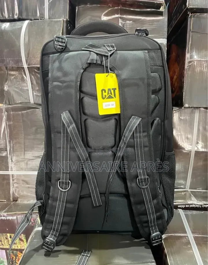 Sacs Au Dos