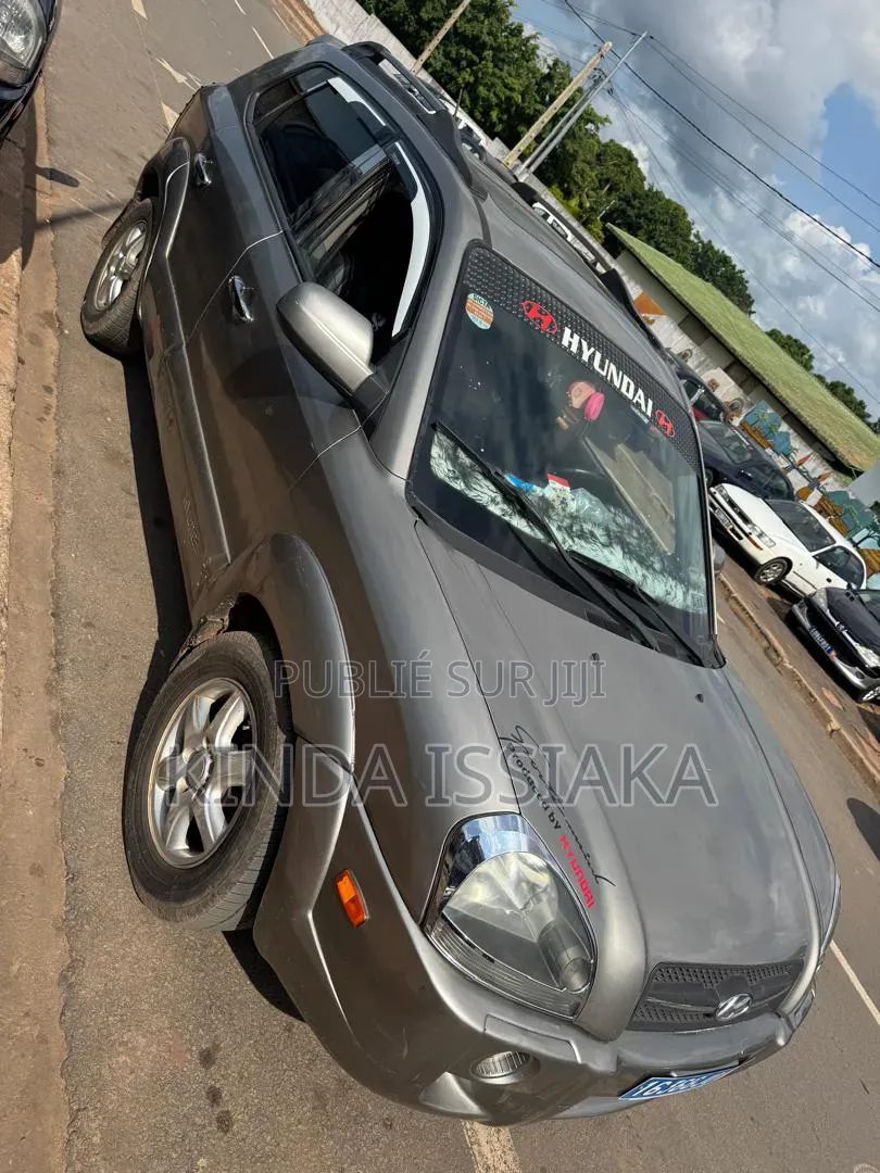 Hyundai Tucson 2007 Gris